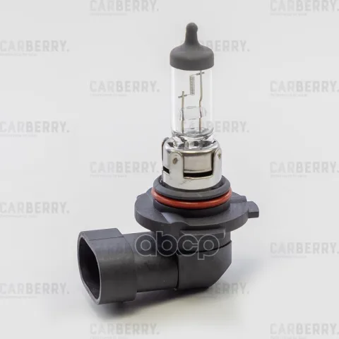 Лампа H10 12V (42W) Day&Night