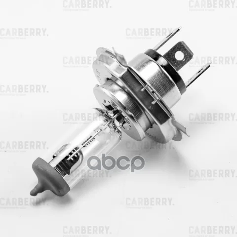 Лампа галогенная H4 24V (75/70W) Truck light