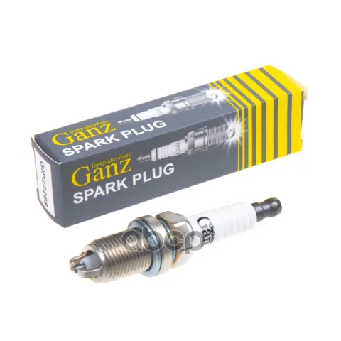 Свеча зажигания (2288) RENAULT/BMW/MB/VAG/LADA Largus GANZ GIP22288