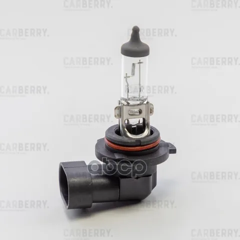 Лампа HB4 12V (51W)   Day&Night