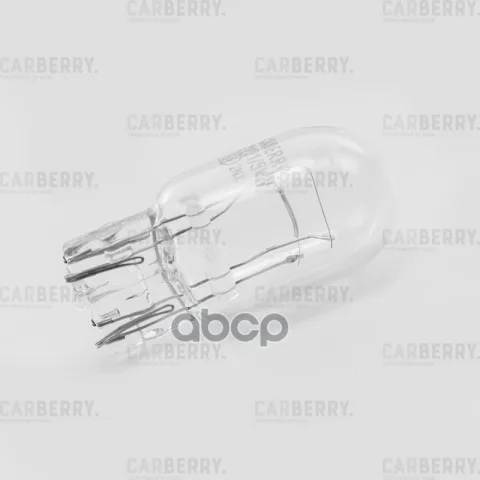 Лампа W21/5W 12V (21/5W) Day&Night