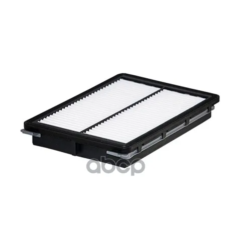 Filtron AP 197/8 Фильтр воздушный