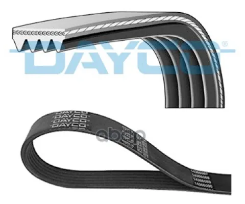 Ремень ручейковый Dayco