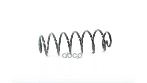Пружина подвески FORD FIESTA/FUSION BM 02-09 — фотография товара