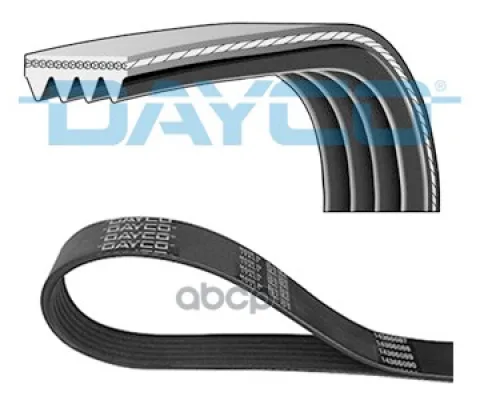 Ремень ручейковый Dayco