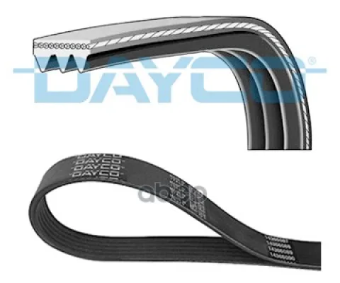 Ремень ручейковый Dayco