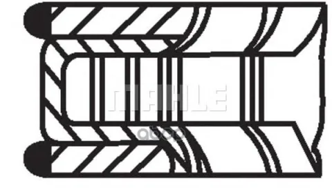 Кольца AUDI A4 1.6L ADP/AKL D=81.01мм /1.2-1.5-2/ 74kW