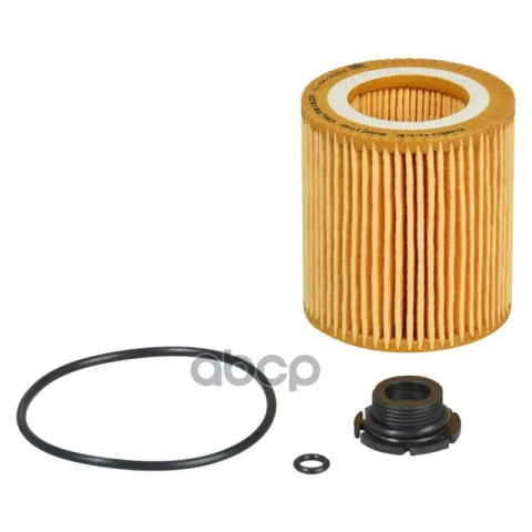 Фильтр масляный BMW 3 F30(11-)/5 F10(09-)/X1 E84(11-) 2.0T (вставка) (Carville Racing)
